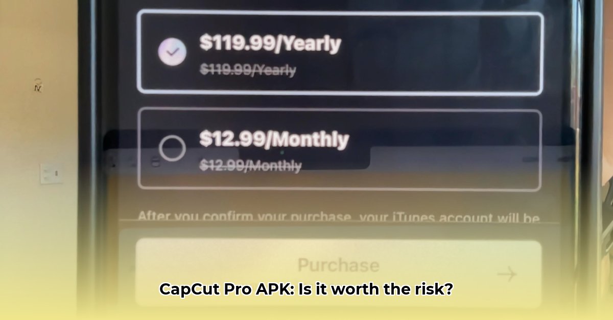 capcut-pro-apk-reddit